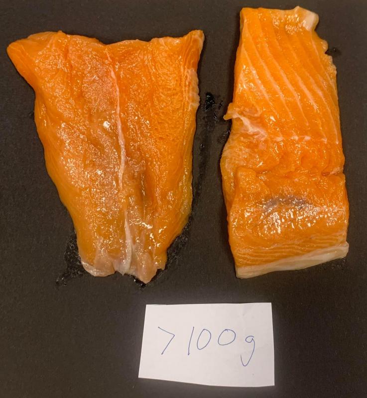 FROZEN SALMON BITS AND PIECES Salmon ByProducts Fish and Byproducts