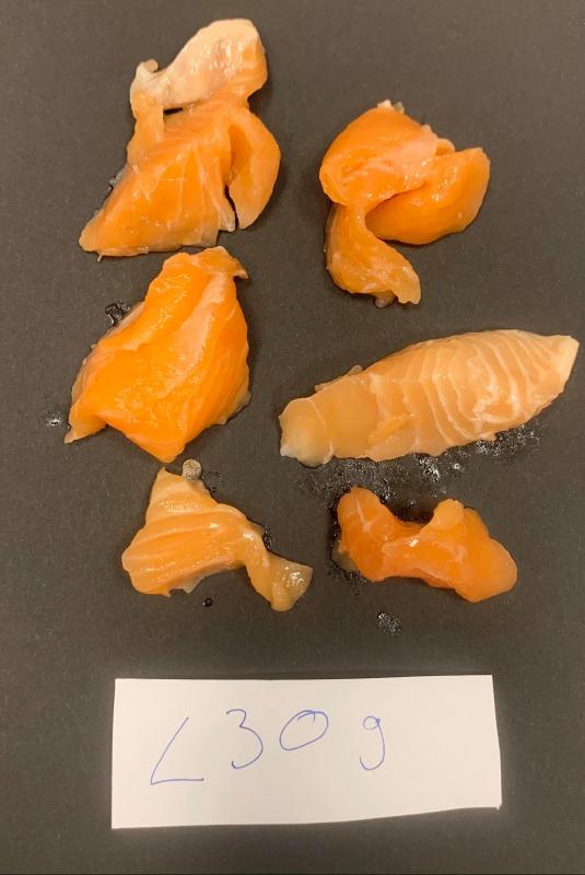 FROZEN SALMON BITS AND PIECES Salmon ByProducts Fish and Byproducts