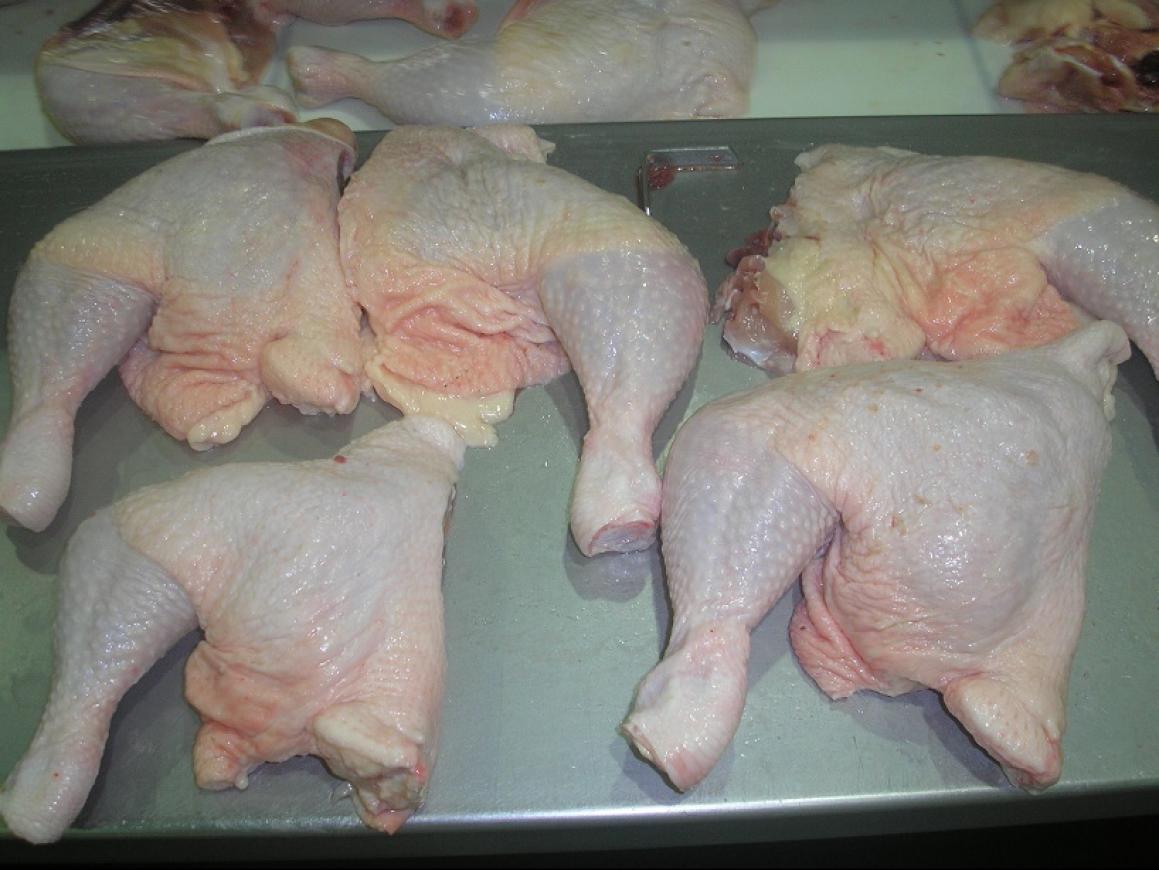 LEG QUARTERS CHICKEN POULTRY WHOLESALE WHOLESALE