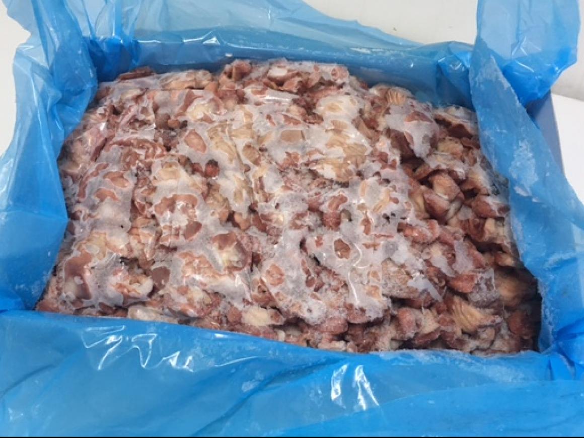 GIZZARDS OFFALS CHICKEN POULTRY WHOLESALE WHOLESALE