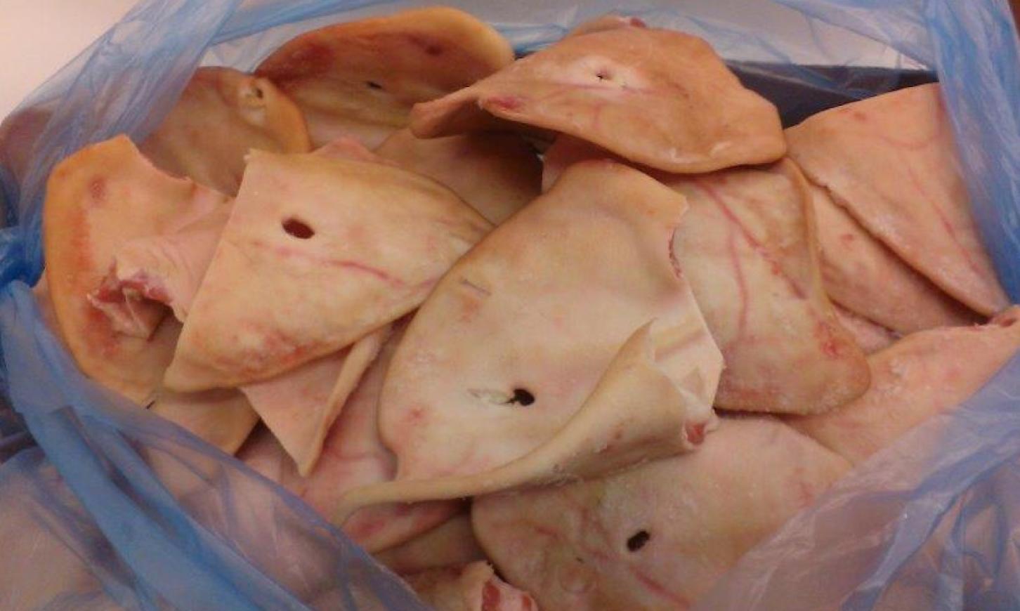 EARFLAPS OFFALS PORK AND SOW WHOLESALE WHOLESALE