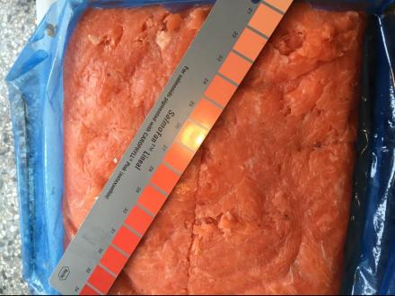 FROZEN SALMON SCRAPED MEAT