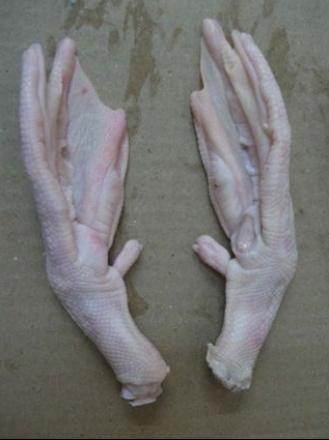 DUCK FEET