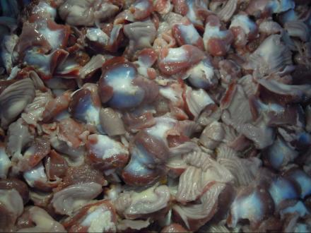 GIZZARDS
