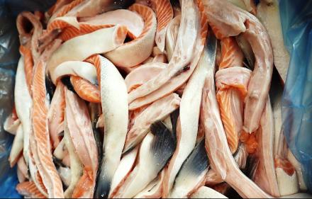 FROZEN SALMON BELLIES 2-4 CM