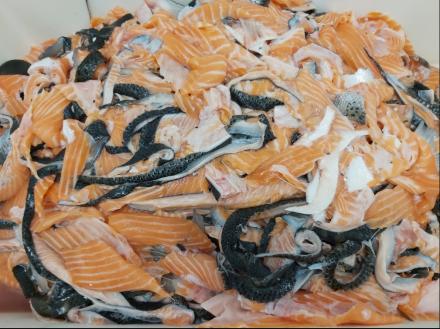 FROZEN SALMON TRIMMINGS 