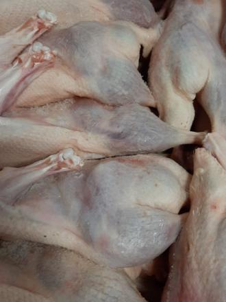 WHOLE DUCKS