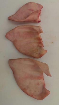 EARFLAPS